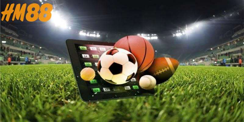 Hỗ trợ truy cập ổn định cá cược thể thao tại hm88